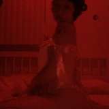 francesfarmer420 from onlyfans