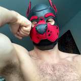 fitmusclepup from onlyfans