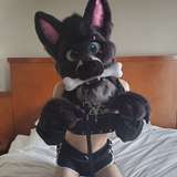 subbywulfboi from onlyfans