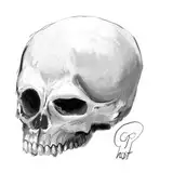 yzmantime from fanbox