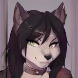 yourtrainer from patreon