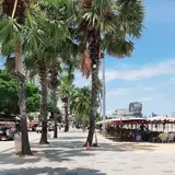 Pattaya - The Dream City 🌴 from patreon