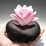Stone Flower from patreon