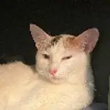 Logarhythm from patreon