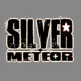 SILVER METEOR from fanbox