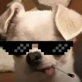 Rainer_OWO from patreon